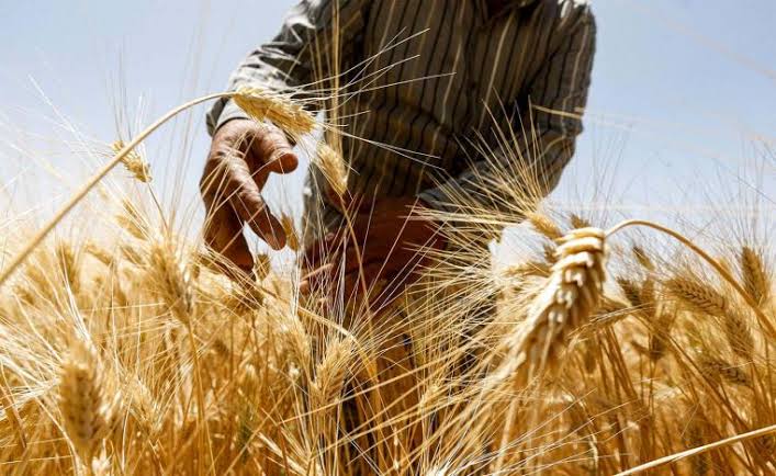 HARVEST BY DEATH.